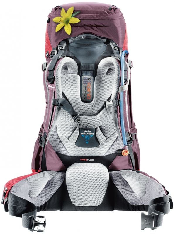 Рюкзак DEUTER Aircontact 40+10 SL колір 5005 cranberry-aubergine