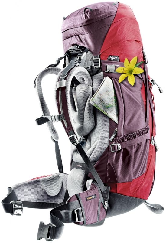 Рюкзак DEUTER Aircontact 40+10 SL колір 5005 cranberry-aubergine