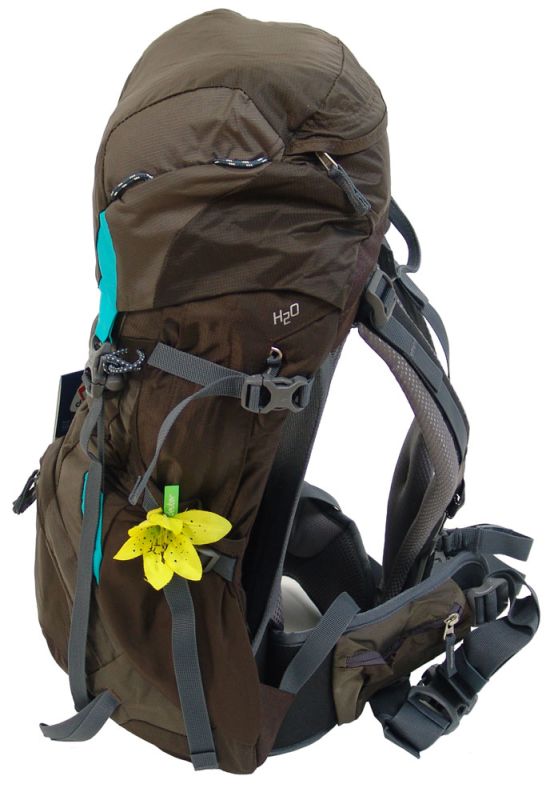 Рюкзак DEUTER Futura 24 SL колір 3218 midnight-mint