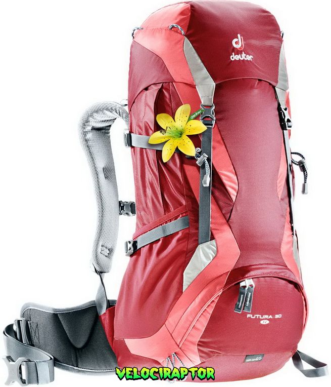 Рюкзак DEUTER Futura 30 SL колір 5553 cranberry-coral