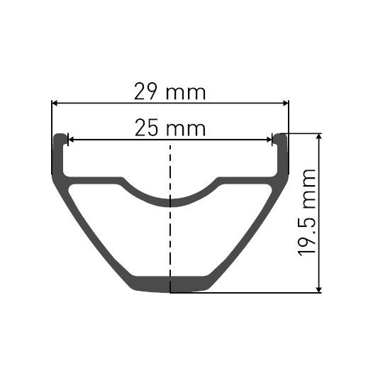 Колесо DT Swiss  X 1900 SP 29 CL 25 15/110